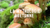 mythologie bretonne