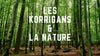 Les Korrigan et la nature: un lien indissociable