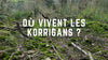 Où habitent les korrigans ?