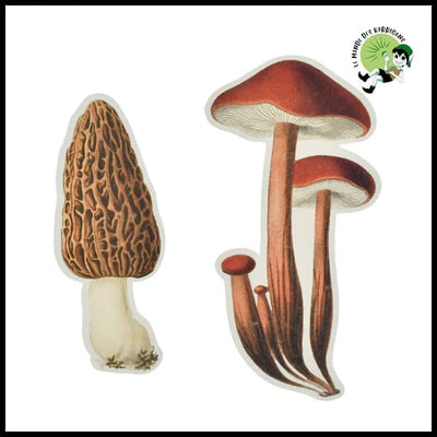 Autocollants Champignons Aquarelle DIY - 1 - Stickers muraux et affiches illustrant des champignons