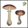 Autocollants Champignons Aquarelle DIY - 1 - Stickers muraux et affiches illustrant des champignons