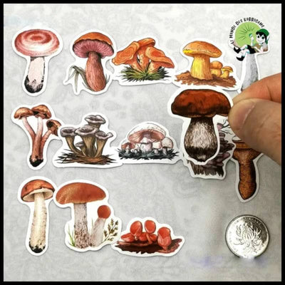 Autocollants Champignons Mini Journal - 1 - Stickers muraux et affiches illustrant des champignons