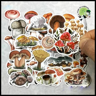 Autocollants Champignons Mini Journal - 1 - Stickers muraux et affiches illustrant des champignons