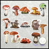 Autocollants Champignons Mini Journal - 1 - Stickers muraux et affiches illustrant des champignons