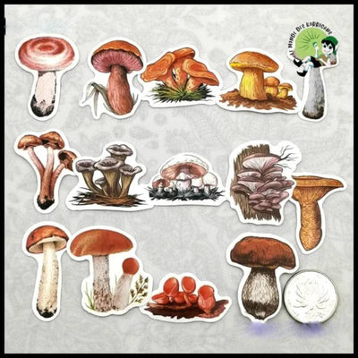 Autocollants Champignons Mini Journal - 1 - Stickers muraux et affiches illustrant des champignons