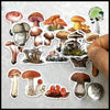 Autocollants Champignons Mini Journal - 1 - Stickers muraux et affiches illustrant des champignons