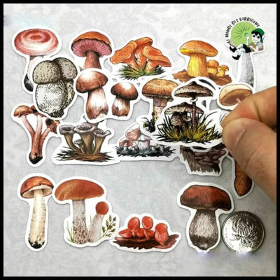 Autocollants Champignons Mini Journal - 1 - Stickers muraux et affiches illustrant des champignons