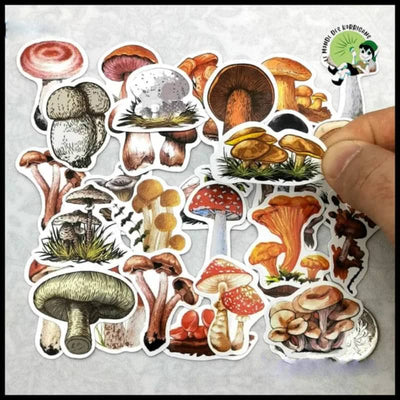 Autocollants Champignons Mini Journal - 1 - Stickers muraux et affiches illustrant des champignons