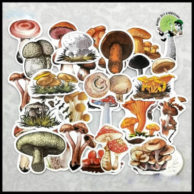 Autocollants Champignons Mini Journal - 1 - Stickers muraux et affiches illustrant des champignons