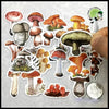 Autocollants Champignons Mini Journal - 1 - Stickers muraux et affiches illustrant des champignons