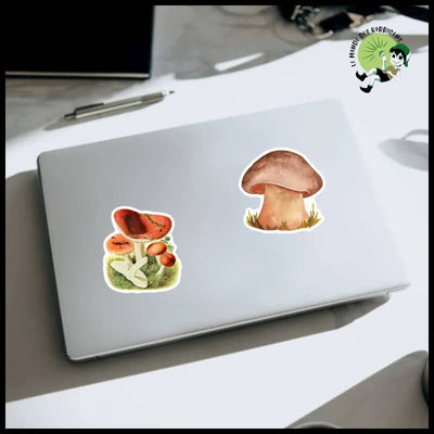 Autocollants Champignons Sauvages DIY - Stickers muraux et affiches illustrant des champignons