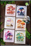 Autocollants Thème Champignon Coloré - Stickers muraux et affiches illustrant des champignons