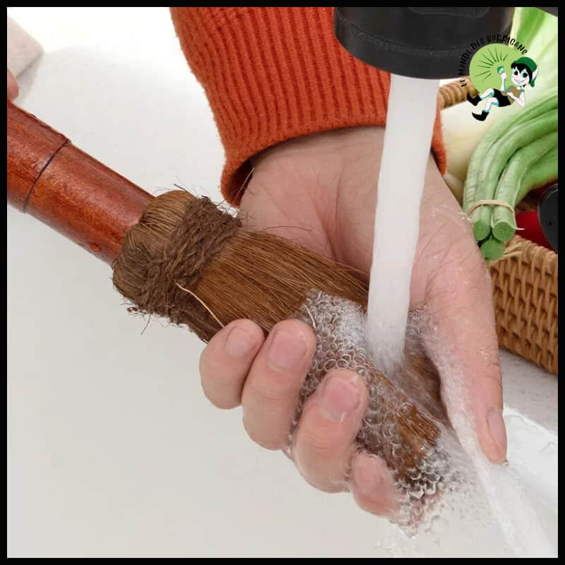 Brosse à Pot en Soie de Palmier avec Manche Bois - Brosses douces pour nettoyer les champignons