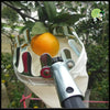 Collecteur de Fruits Métallique Pratique - Kits d’outils multifonctions pour les cueilleurs