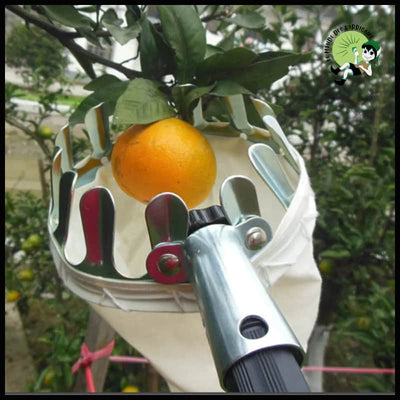 Collecteur de Fruits Métallique Pratique - Kits d’outils multifonctions pour les cueilleurs