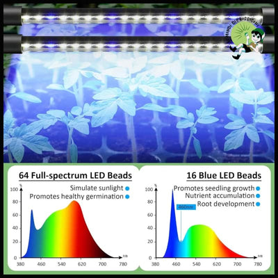 Ensemble plateau germination - 40W - Kits de culture champignons à domicile