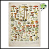 Impression sur Toile Champignon Vintage - Stickers muraux et affiches illustrant des champignons