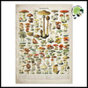 Impression sur Toile Champignon Vintage - Unique 1 / 5x7in sans cadre - Stickers muraux et affiches illustrant