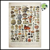 Impression sur Toile Champignon Vintage - Unique 2 / 5x7in sans cadre - Stickers muraux et affiches illustrant