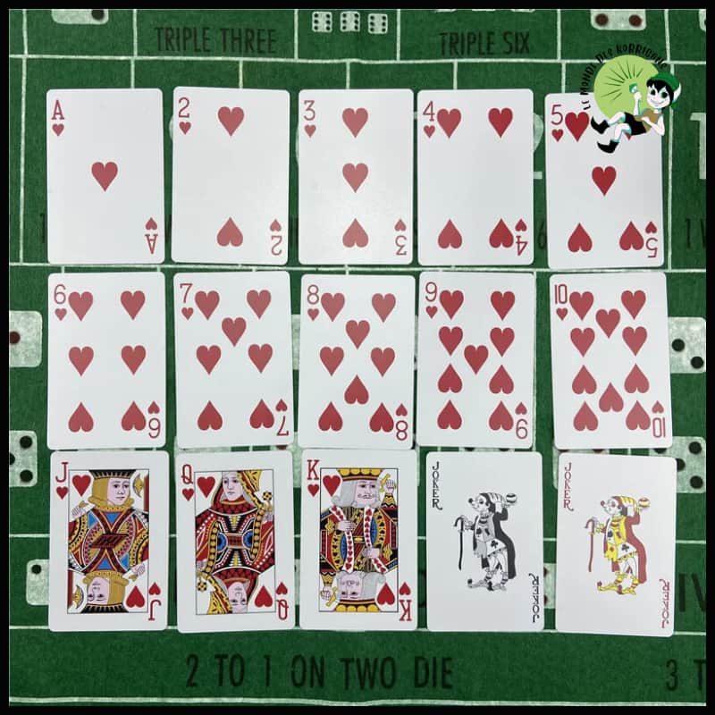 Jeu de Cartes à Jouer Étanche en Plastique PVC - Jeux cartes tarot artistiques