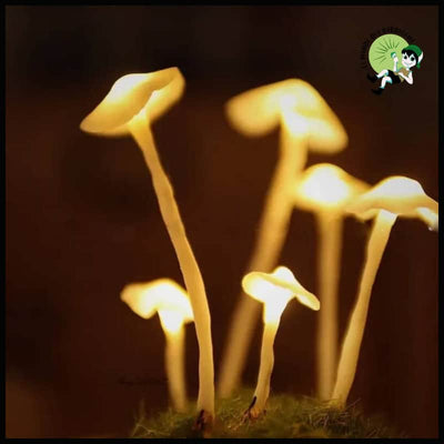 Lampe de Nuit Champignon Rétro - Unique - Lampes et éclairages en forme champignon