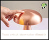 Lampe de Table LED Champignon - Lampes et éclairages en forme champignon