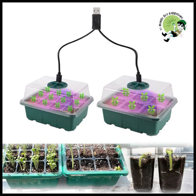 Plateau de Germination avec Éclairage LED - Kits culture champignons à domicile