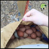 Sac de Cueillette Champignons et Tablier Jardinage Pratique - sac