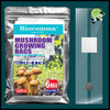 Sac de Culture pour Spawn Champignons - 18X35 bouchon 10pk - Kits culture champignons à domicile