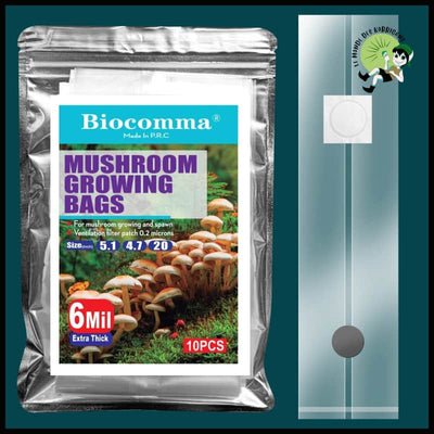 Sac de Culture pour Spawn Champignons - 25X50 bouchon 10pk - Kits culture champignons à domicile