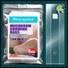 Sac de Culture pour Spawn Champignons - 32X65 bouchon 10pk - Kits culture champignons à domicile